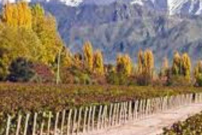 Mendoza Full Day Bodegas. - Good To Know