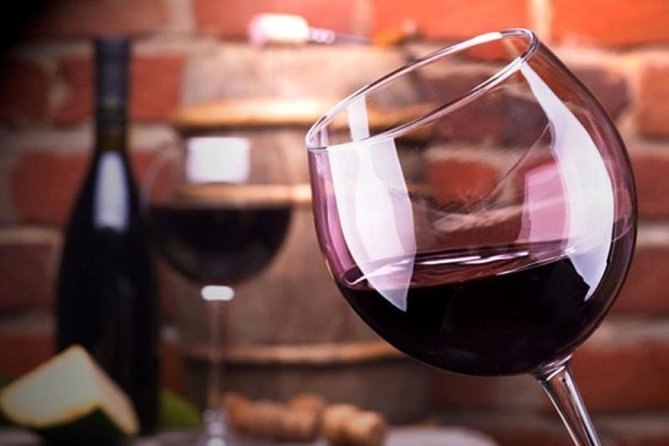 Mendoza Wine Route A Full Day Private Excursion - About Your Stay