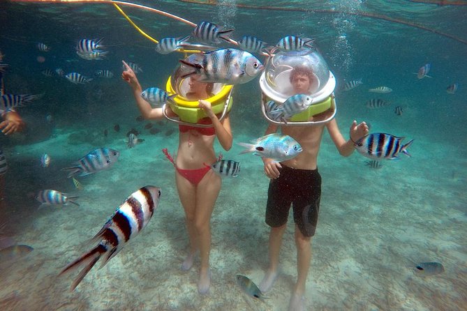 Mesmerizing Ile Aux Cerf: Speed Boat, GRSE, Lunch & Undersea Walk (Full Day) - Overview of Ile Aux Cerf