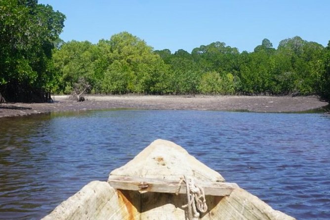 Mida Creek Boardwalk and Canoa Ride - Good To Know