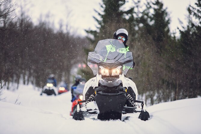 Midday Snowmobiling in Camp Tamok With Guide - Good To Know
