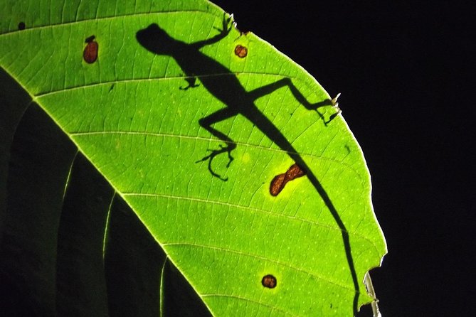 Mindo Cloud Forest (PRIVATE Day Trip) - About Your Stay