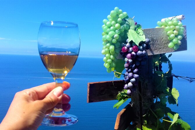 Minitrekking and Visit of the Cinque Terre Vineyard - Key Points