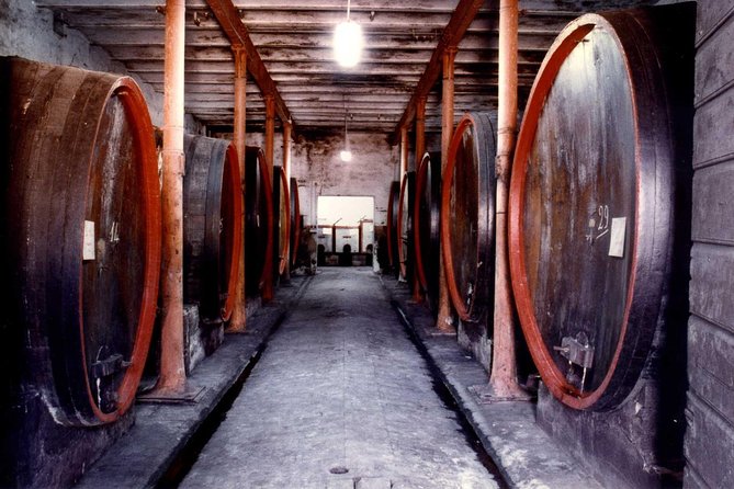 Montefalco: Historic Cellar and Vineyard Tour With Wine Tasting - Good To Know