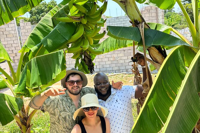 Montego Bay Sightseeing, Shopping and Bamboo Rafting - Pickup Information