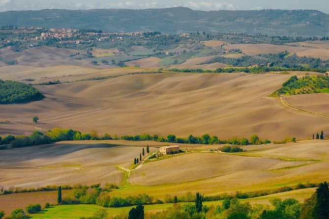 Montepulciano: Wine Tasting & Lunch in a Typical Winery - Good To Know