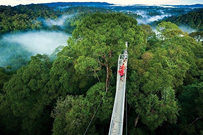 Monteverde Cloud Forest Hike and Hanging Bridges Tour From Guanacaste - Good To Know