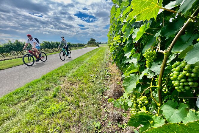 Moravian E-Bike & Wine Day Trip From Brno - Tour Overview