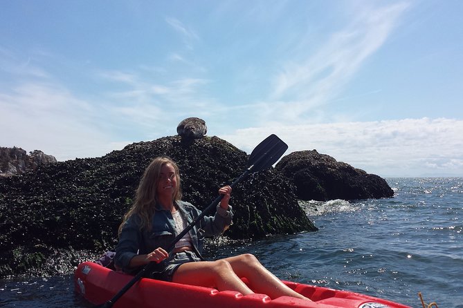 Morning Kayak & Seal Cruise - Good To Know