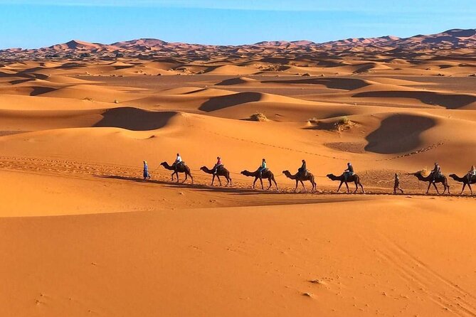 Morocco Camel Treks Experiences 2 Nghits in Erg Chabbi Desert - Good To Know