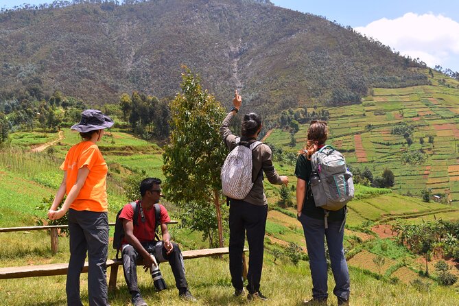 Mount Kabuye Hiking - Good To Know