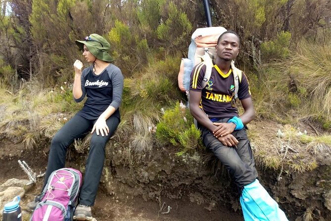 Mount Kilimanjaro Day Hike - Overview and Highlights