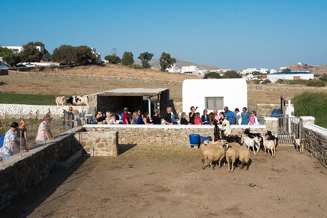 Mykonian Farm Entrance Ticket - Good To Know