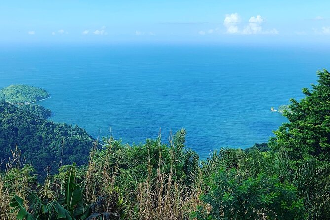 ( MyRide* )Trinidad Airport & Hotel Transfer - Service Details
