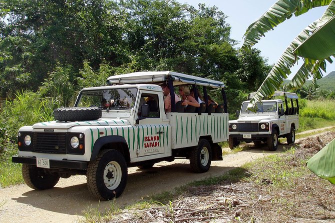Mystic Island Safari - Good To Know