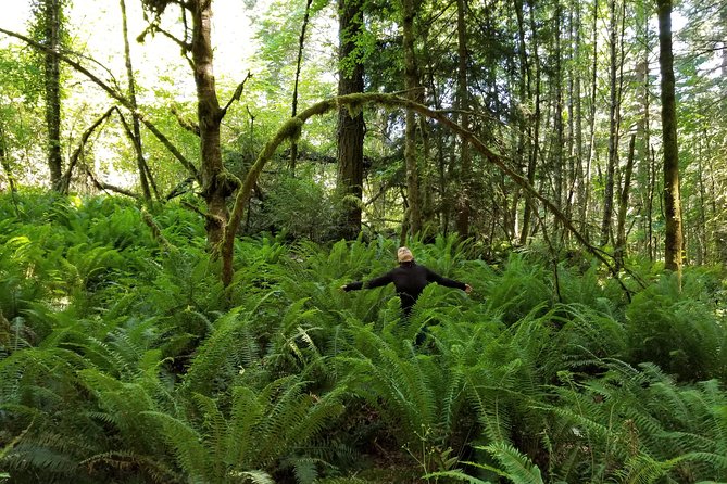 Mystical Rainforest Tour - Forest Magick - Good To Know