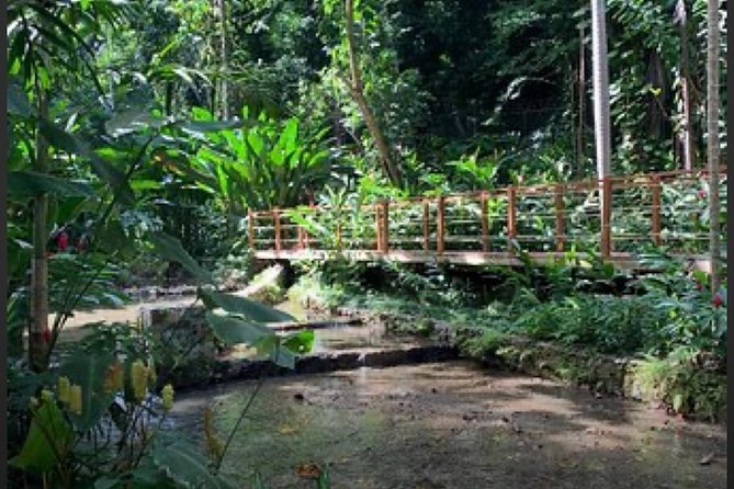 Natural Mystic - Exploring Konoko Falls