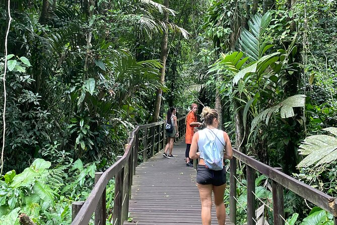 Nature & Forest Therapy Guided Walk in Puerto Viejo - About Your Stay