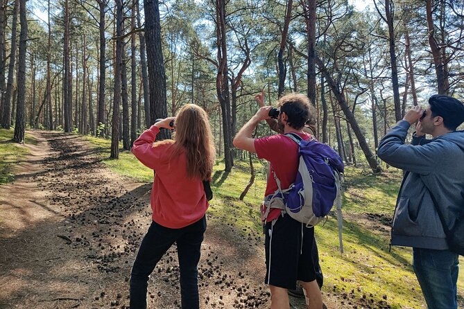 Nature Walk and Wildlife Tour Review - Key Points