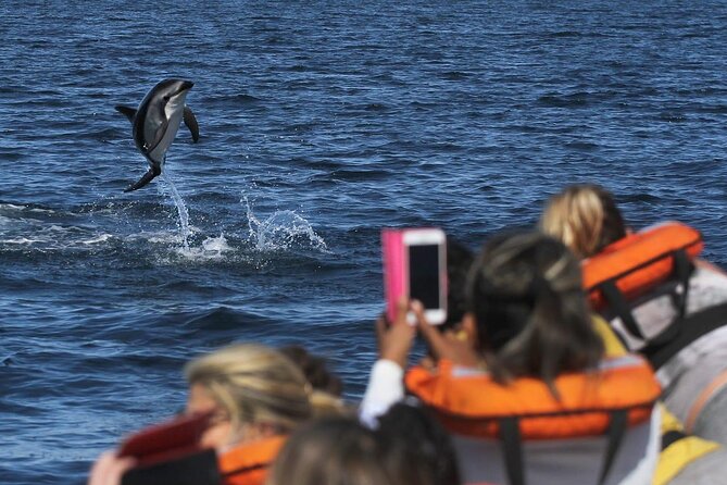 Nautical Tour and Dolphin Search in Puerto Madryn - Good To Know