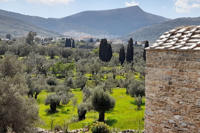 Naxos: Countryside Hike Among Villages & Byzantine Churches - Good To Know