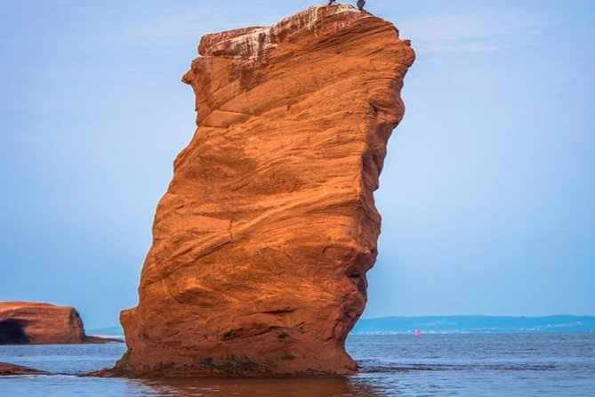 New Brunswick Shore Excursion: Bay of Fundy and More Highlights Tour - Good To Know