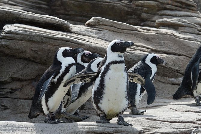 New York Aquarium Admission - Admission Details