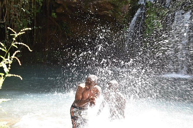 Ngare Ndare Day Trip - Activities and Highlights