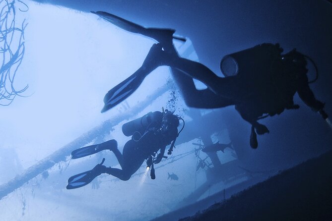 Night Diving At Caribbean Sea - Good To Know