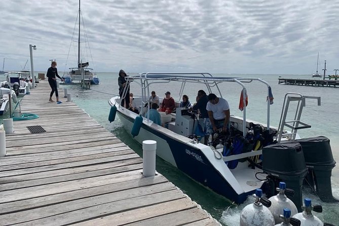 Night Scuba Dive Ambergris Caye - Good To Know
