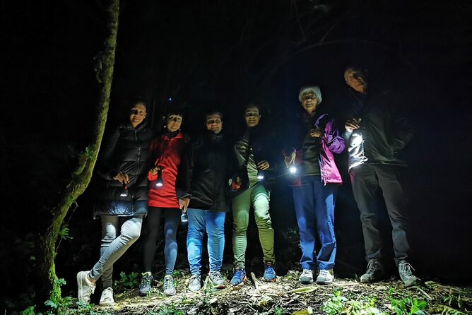 Night Walk in the Monteverde Cloud Forest. - Good To Know