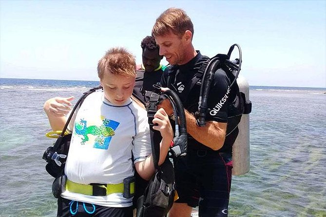 Non Certified Diving Experience Plus Transportation - About Your Stay