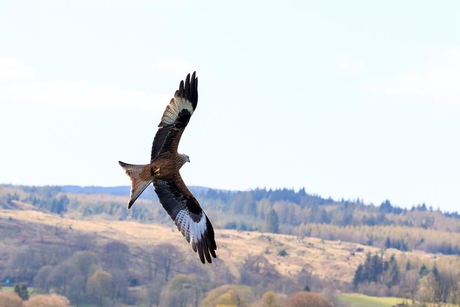 North Highlands From Inverness - Tour Highlights