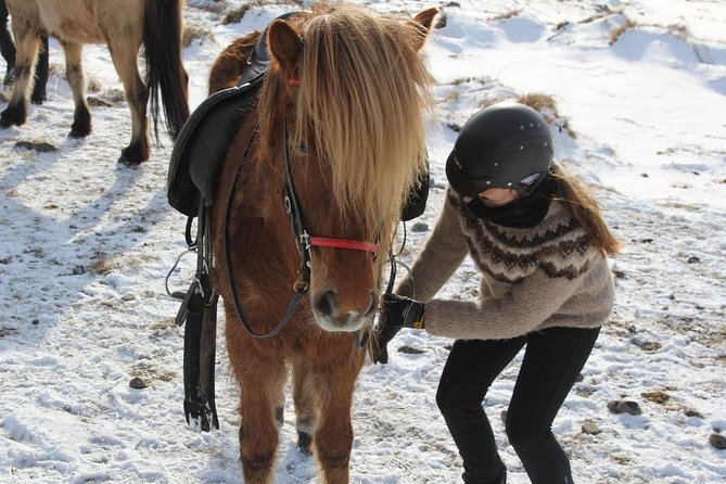 North Iceland: Horseback Riding Tour  - Akureyri - Good To Know