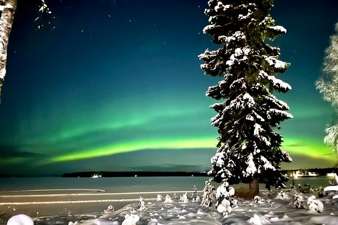 Northern Lights Activity Snowmobile Driving - Key Points