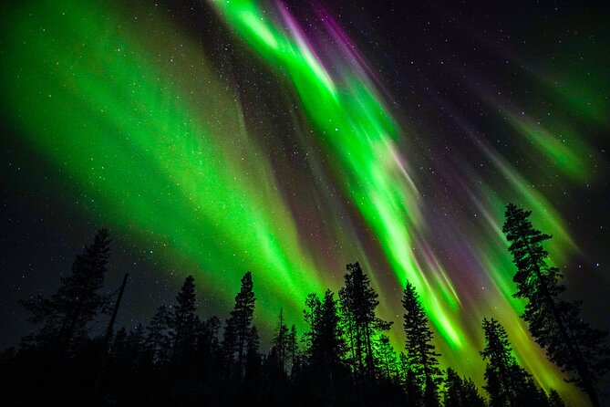 Northern Lights Adventure From Rovaniemi Review - Key Points