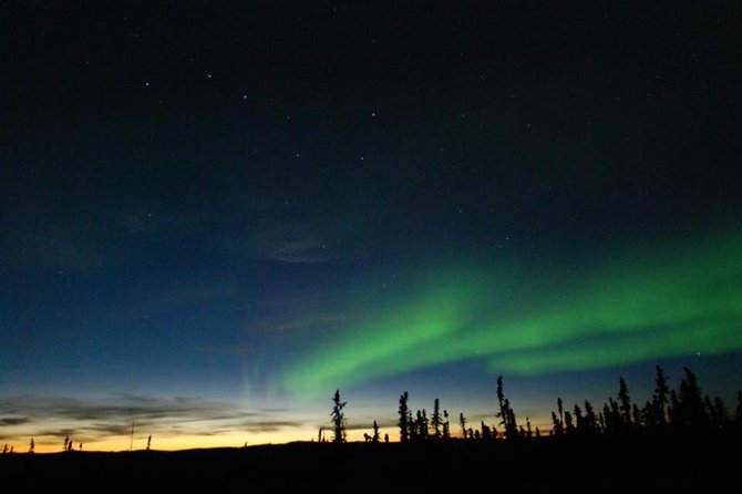 Northern Lights Experience and Cabin Dinner - Good To Know