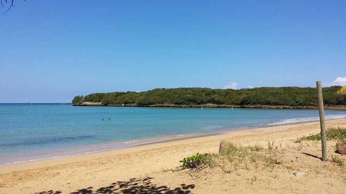 Old San Juan and Piñones Sightseeing Tour via Minibus - Good To Know