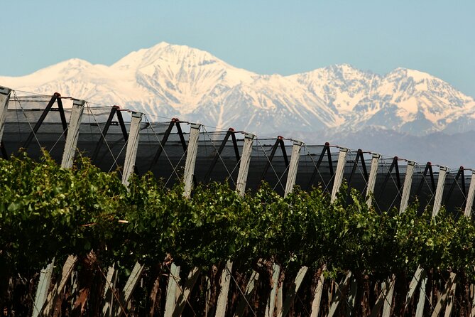 Olive Oils, Gourmet Products and Wines - About Your Stay