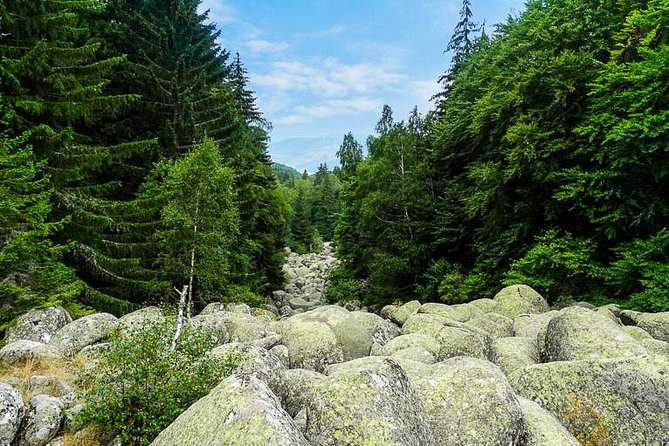 One-day Birding Around Sofia - Tour Overview