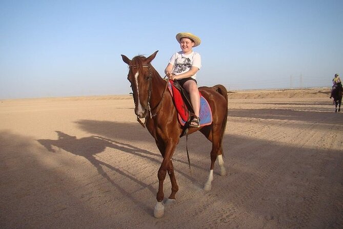 One Hour Horse or Camel Riding With Transfer- Sharm El-Sheikh - Good To Know