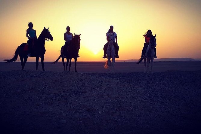 One Hour Horse Riding at Desert With Transfer - Sharm El Sheikh - Good To Know