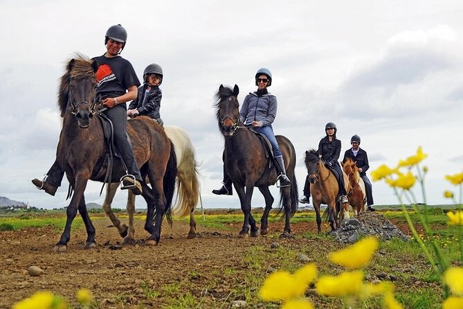 One-Hour Horseback Riding Tour Review - Key Points