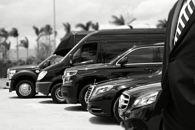 One-Way Transfer From the Airport to the Cruise Port - Good To Know