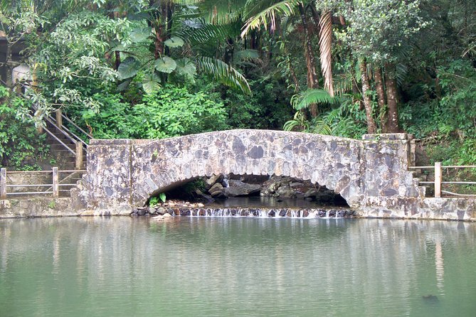 Original Tropical Rainforest and Beach Adventure - Tour Overview