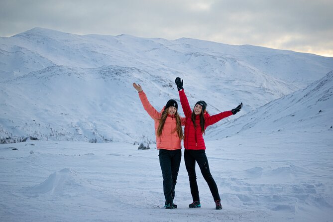 Overlanding Senja: Guided Trip Around the Island - Good To Know