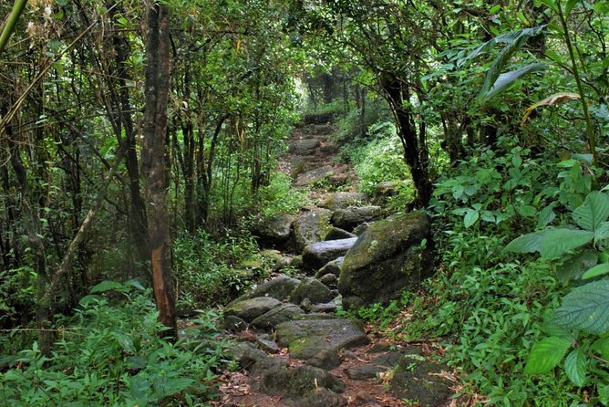 Overnight Adventure Trekking in Knuckles - Good To Know