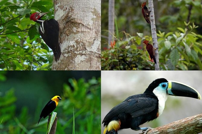 Pacaya Samiria 4Days 3Nights - Amazon Wonder Expeditions - About Your Stay