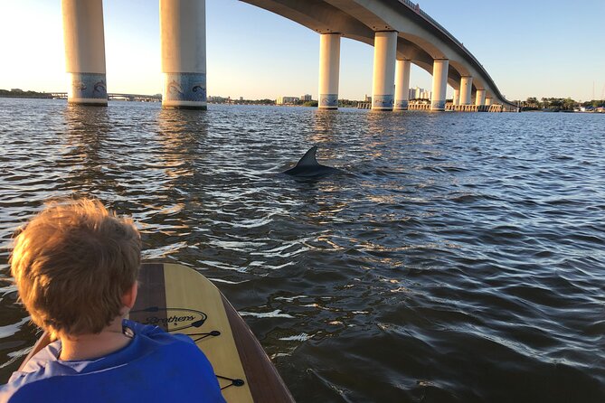 Paddle Board Rental - Good To Know