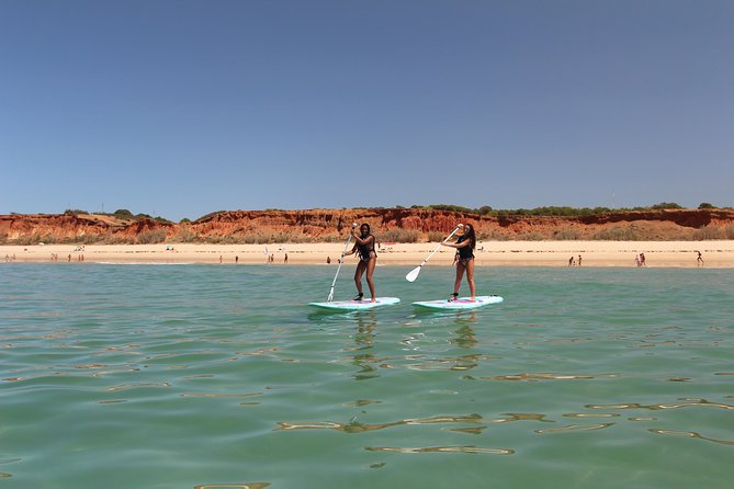 Paddle: SUP in Albufeira - Overview of Paddle SUP